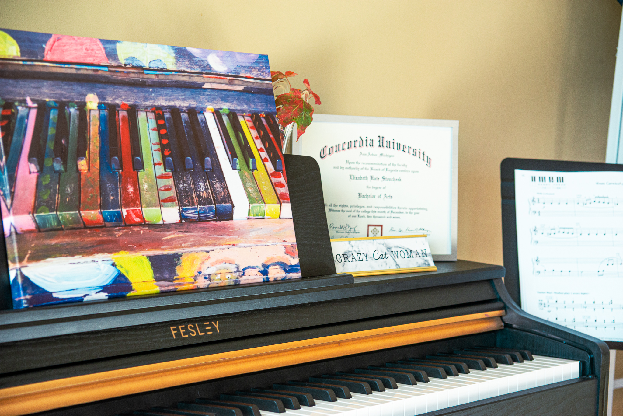 painted keys piano with credentials